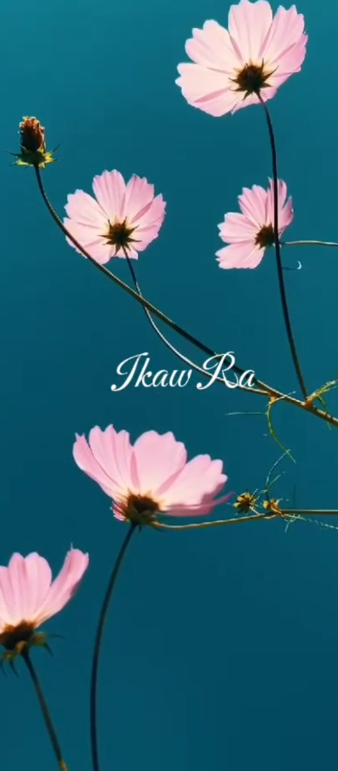 Ikaw Ra ๐น Produced by Sindangan.NET. Written by Prakash